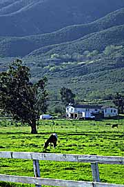 LA-rancho-1