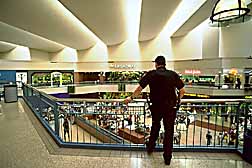 LA-shopping-center-2