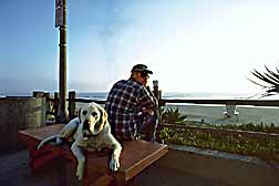 dog-and-master