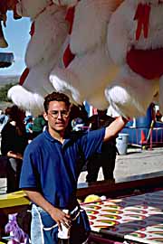 festival-white-bears