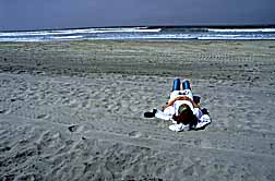 sandiego-beach-2