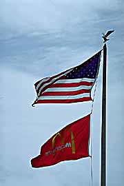 stars-and-stripes-1