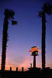 vegas-palms