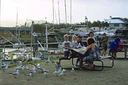 img0003.jpg
