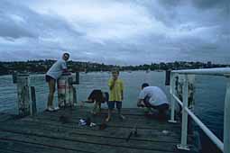 img0018.jpg