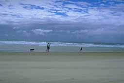 img0065.jpg