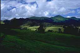 img0068.jpg