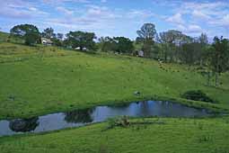 img0075.jpg