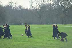 img0020.jpg