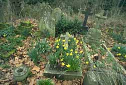 img0070.jpg