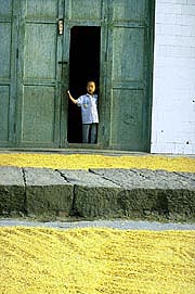 boy-in-doors