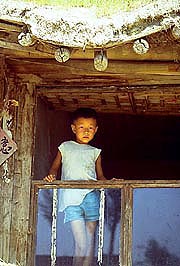 boy-in-window