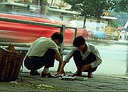 checkers-on-street