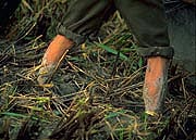 feet-in-mud