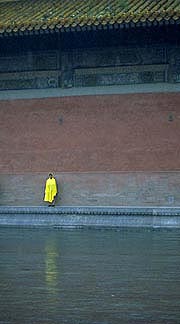 forbidden-yellow-coat