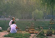men-with-canaries