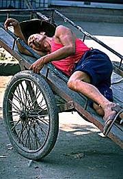 sleeping-in-cart