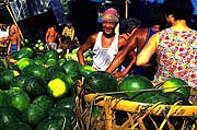 water-melons-man