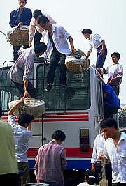 wuhan-unloading-bus