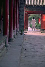 xian-tao-monk-back