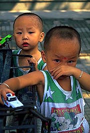 twins-with-cars
