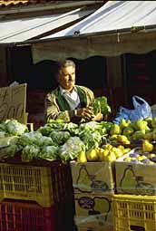 img0017.jpg