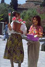 img0019.jpg
