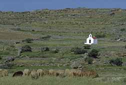 img0040.jpg