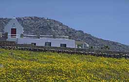 img0041.jpg