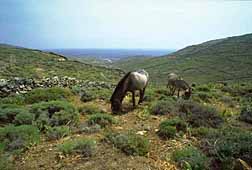 img0045.jpg