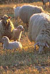img0046.jpg