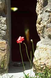 img0047.jpg
