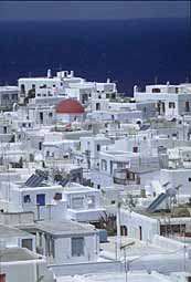 img0065.jpg