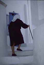 img0066.jpg