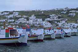 img0071.jpg