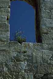 img0099.jpg