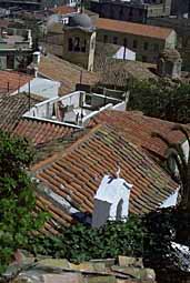 img0100.jpg
