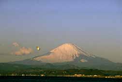 fuji-and-seagull.jpg