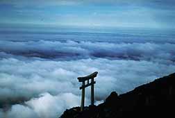 fuji-torii-gate