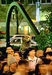 hachiko-and-faces