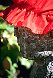 jizo-in-red-panama.jpg