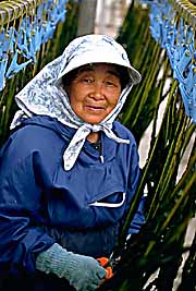 kamakura-sea-weed-women.jpg