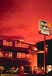 red-lobster.jpg