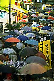 shibuya-umbrellas.jpg
