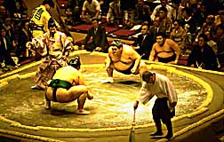 sumo-second-before
