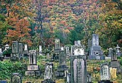 tochigi-cemetry