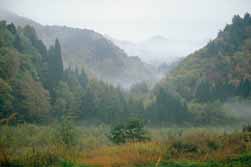 tochigi-foggy-landscape.jpg
