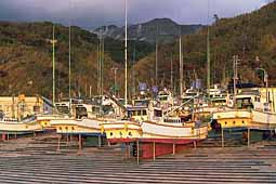 kozushima-port-boats