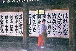 meiji-jingu-1-miko-blessings