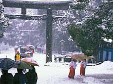 meiji-jingu-2-miko-gates